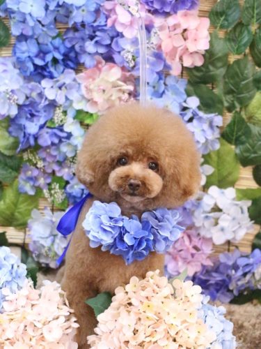 20250615こじろうくん